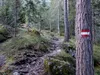 über den Goggsteig