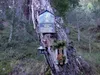 über den Goggsteig