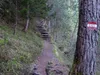 über den Goggsteig
