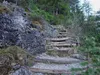 über den Goggsteig