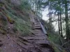 über den Goggsteig