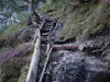 über den Goggsteig