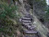 über den Goggsteig