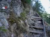 über den Goggsteig
