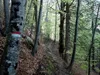 vom Gogghüttl bis zum Klammbrückl