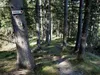 über den Goaßsteig
