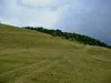 letzter Anstieg zum Gipfel Dorfberg