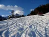 vor Gribelehof