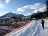 bei Gribelehof