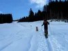 bei Taxer