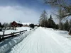 bei Geiersbichl