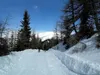 von Wegkreuzung Richtung Roaner Alm hinten Straßkopf