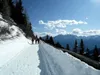 Abfahrt über Rodelbahn