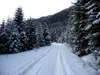 durch das Rollertal bis zur Bödenalpe