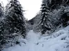 durch das Rollertal bis zur Bödenalpe