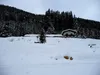 Bödenalpe