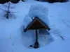 entlang des Forstwegs durch das Kolmitzental