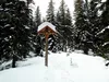 Aufstieg durch den Wald Richtung Winklerner Hütte