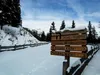 Aufstieg durch den Wald Richtung Winklerner Hütte hinten Straßkopf