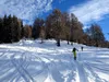 vom Schneggerhof Richtung Hühnerspiel