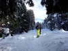 vom Schneggerhof Richtung Hühnerspiel