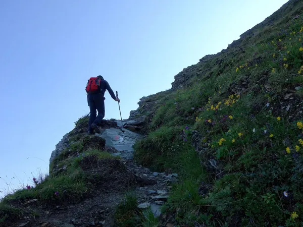 vom Wetterkreuz Aufstieg Richtung Gipfel Berger Kogel