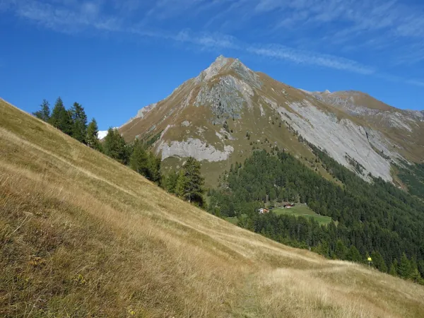 Aufstieg Richtung Hohes Tor hinten die Säulspitze