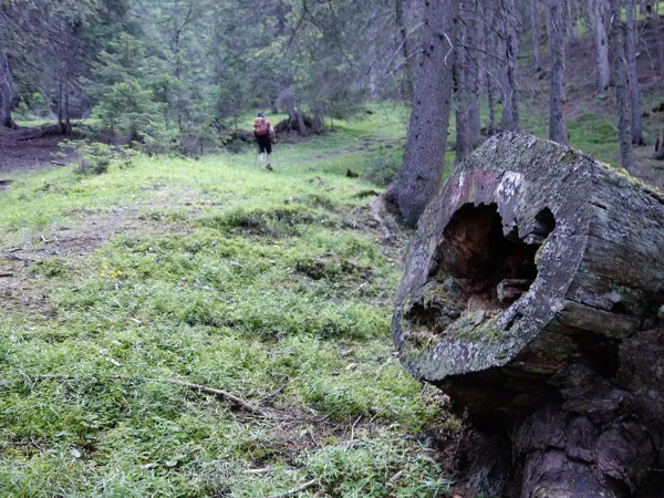 vom Gehöft Maschgl Richtung Falkenstein