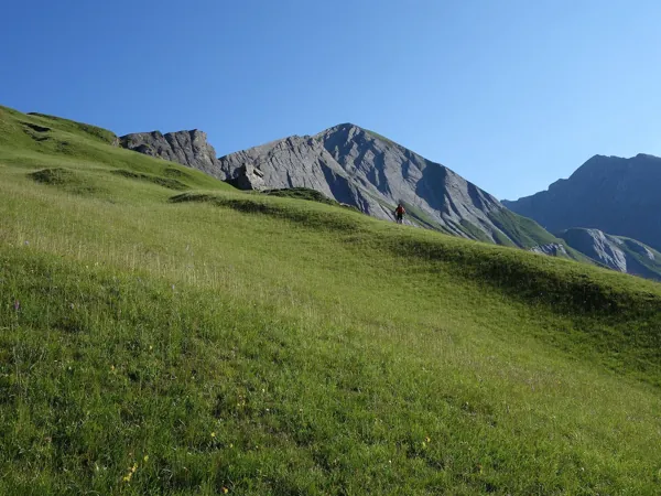 vom Falkenstein Aufstieg Richtung Bunzkögele Bildmitte die Bretterwandspitze