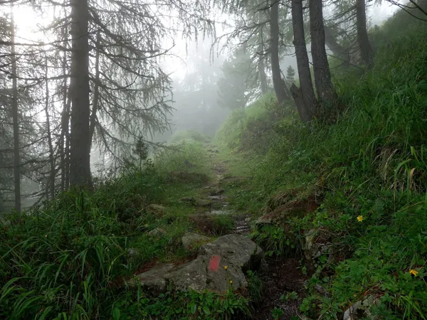 Aufstieg Richtung Hirschbichl