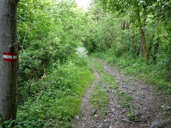 vom Start Richtung Obergaimberg