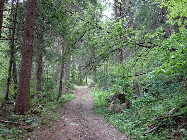 vom Start Richtung Obergaimberg