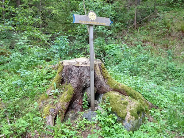 vom Start Richtung Obergaimberg