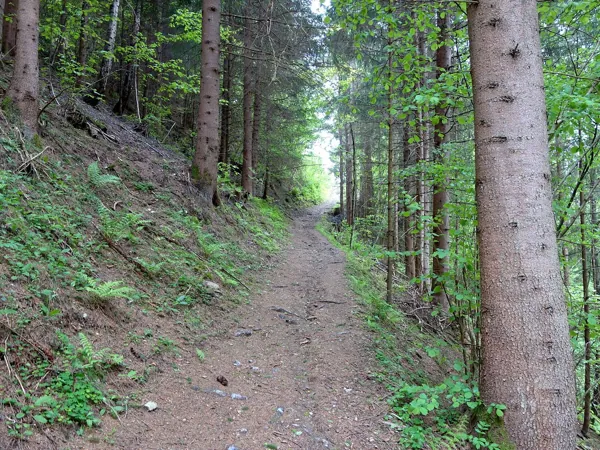 vom Start Richtung Obergaimberg