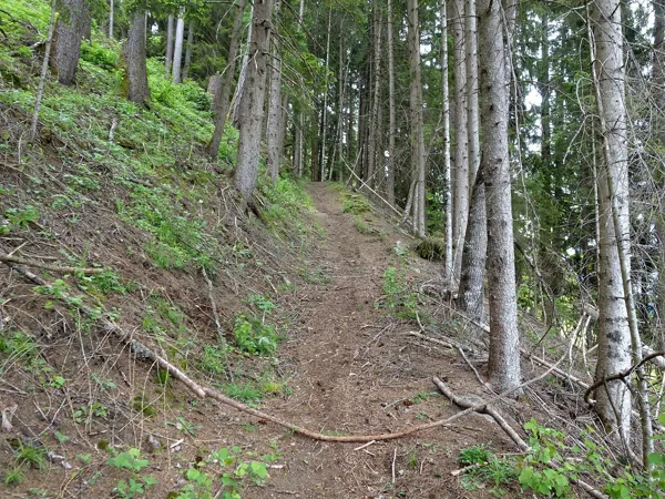 von Obergaimberg Richtung Aussichtsplatz Mesner Riese
