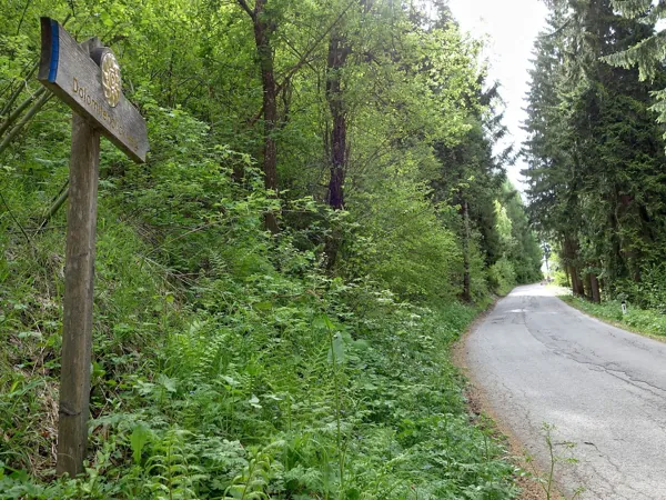 von Obergaimberg Richtung Aussichtsplatz Mesner Riese enltang Asphaltstraße