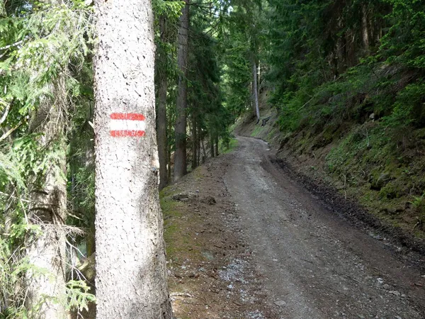 von Obergaimberg Richtung Aussichtsplatz Mesner Riese