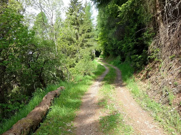 von Obergaimberg Richtung Aussichtsplatz Mesner Riese