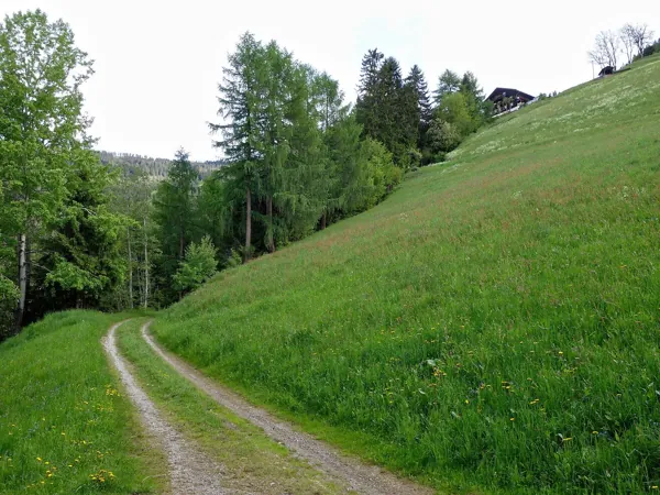 von Obergaimberg Richtung Aussichtsplatz Mesner Riese unterm Bergbaürnhof Zabernig