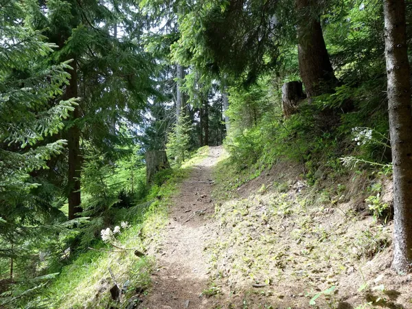 vom Aussichtsplatz Mesner Riese Richtung Dolomitenblick