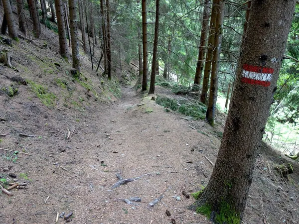 vom Dolomitenblick Richtung Ausgangspunkt Zettersfeldparkplatz