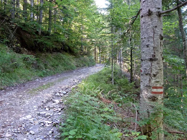 Aufstieg zur Dolomitenhütte