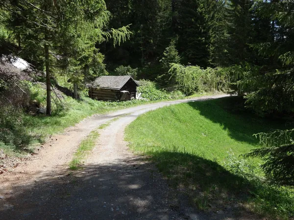 entlang des Forstweges bis zu den Breitwiesen