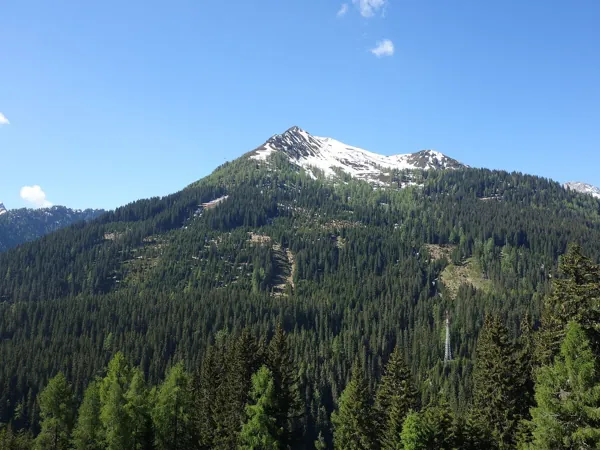 entlang des Forstweges bis zu den Breitwiesen Blick Richtung Öfenspitze