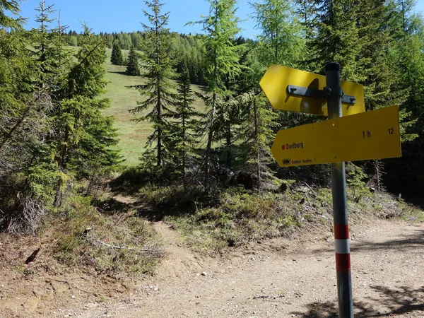 Verlassen Forstweg