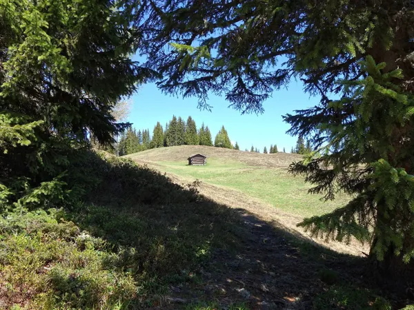 bei den Breitwiesen