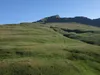 beim Grei Bühel Blick Richtung Figerhorn Bildmitte