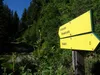 vom Start zur Mitterwurzeralm