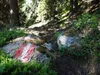 von der Mitterwurzeralm zur kleinen Unterstandshütte