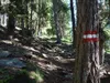 von der Mitterwurzeralm zur kleinen Unterstandshütte